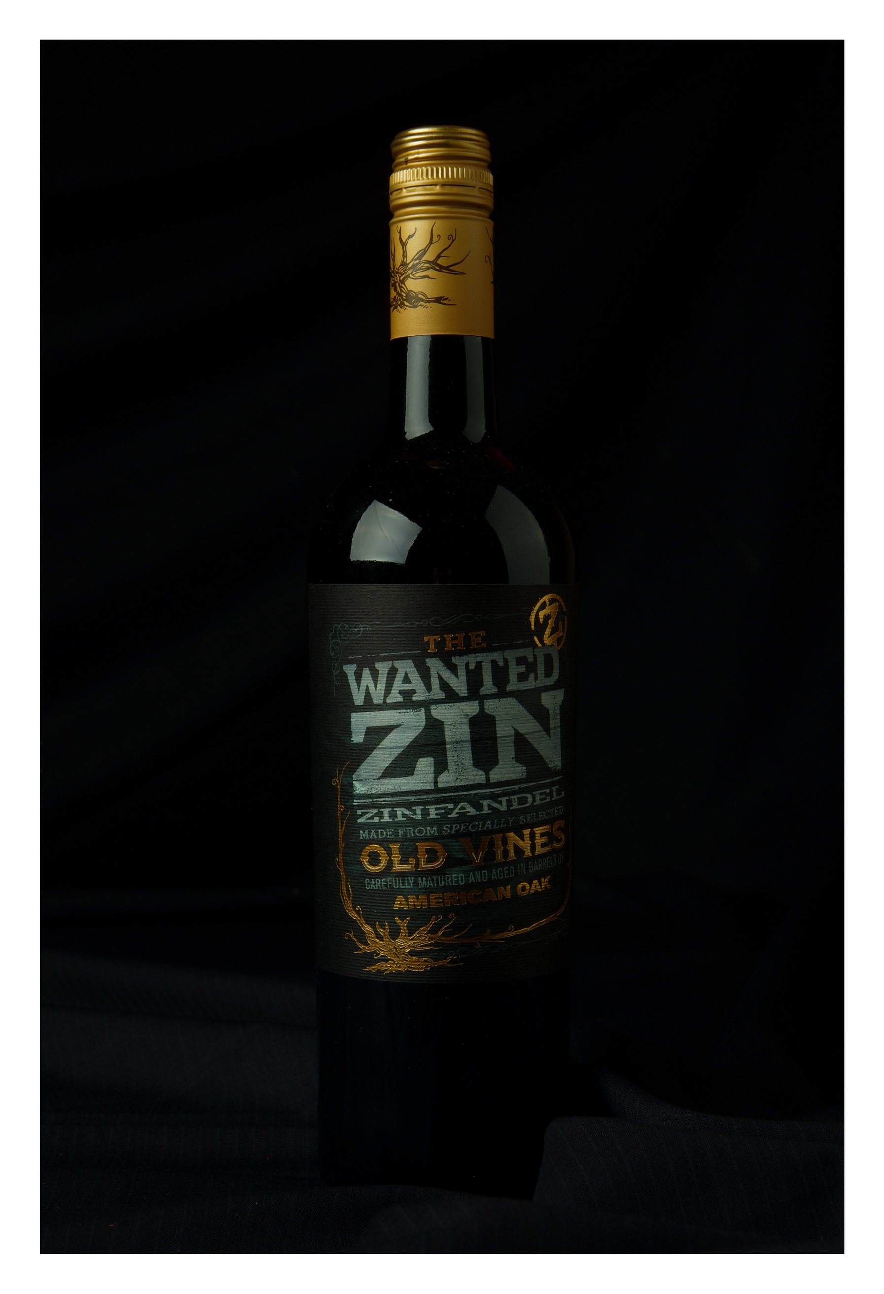 the-wanted-zin